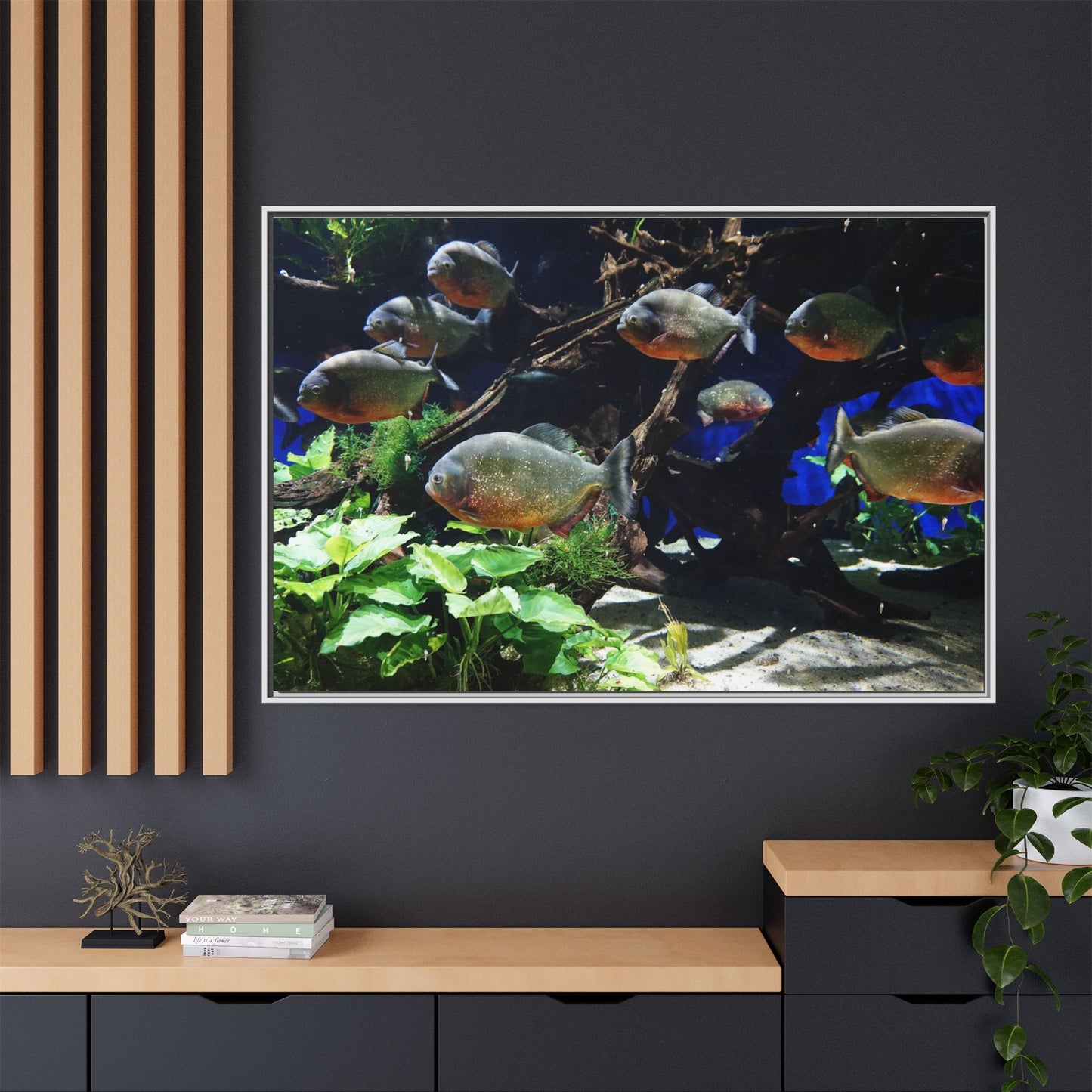 Fish Scene | Virtual Tank | Piranha River Scene