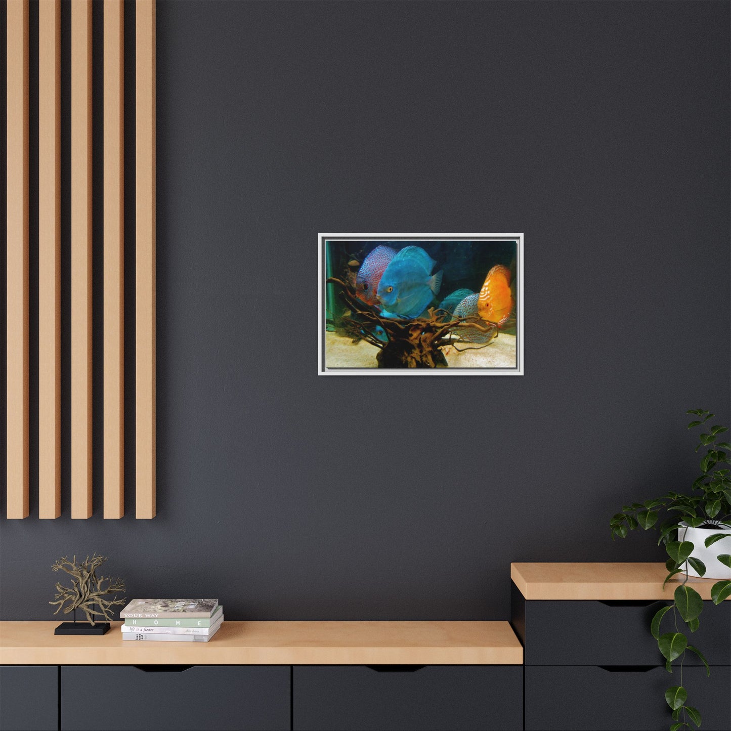 Fish Scene | Virtual Tank | Discus in your face