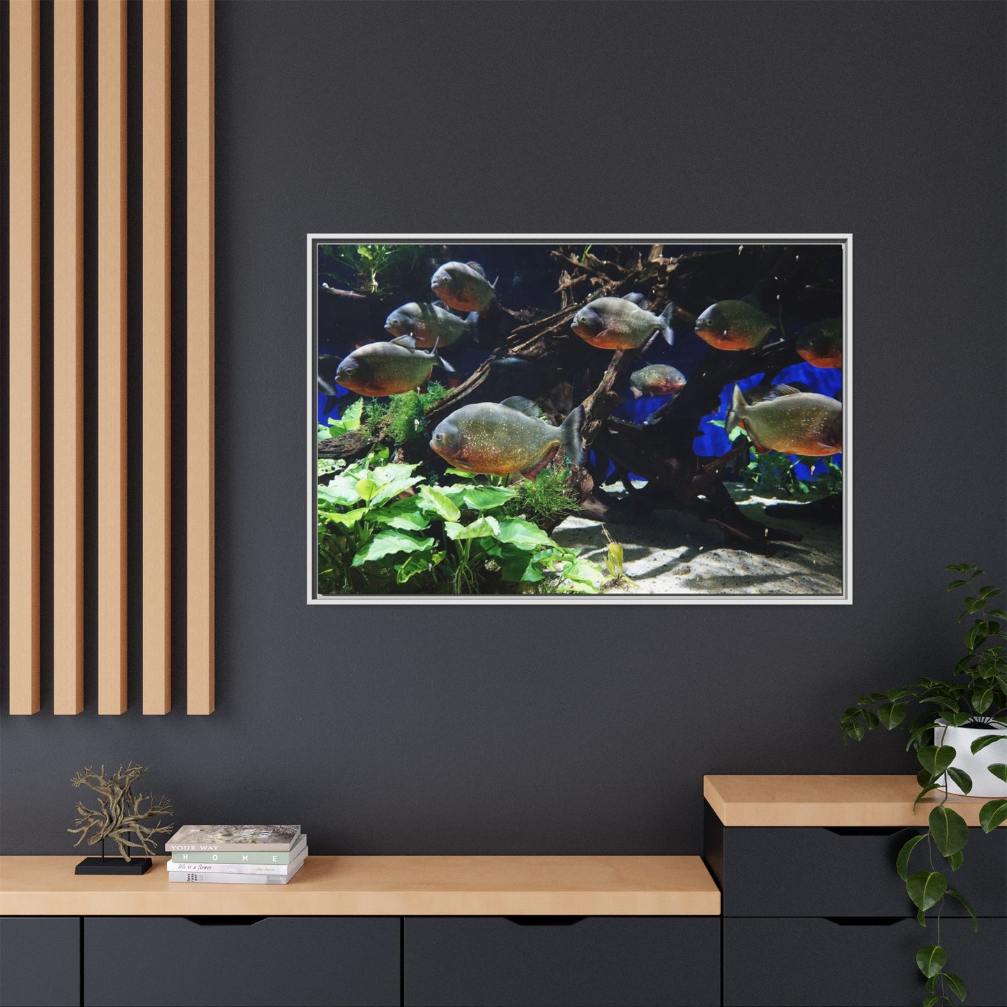 Fish Scene | Virtual Tank | Piranha River Scene