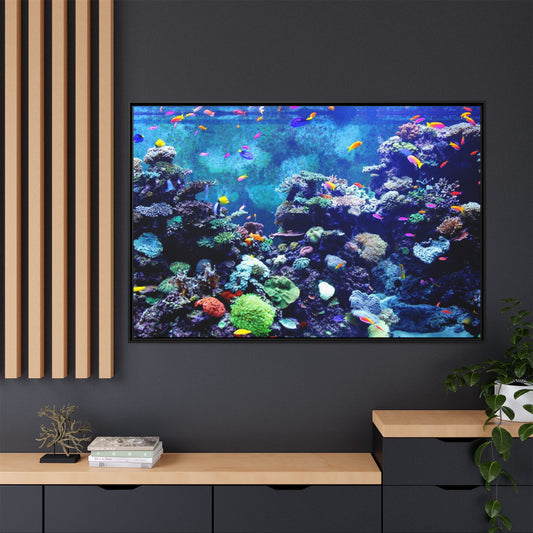 Fish Scene | Virtual Tank | Colorful Coral Reef Small fish