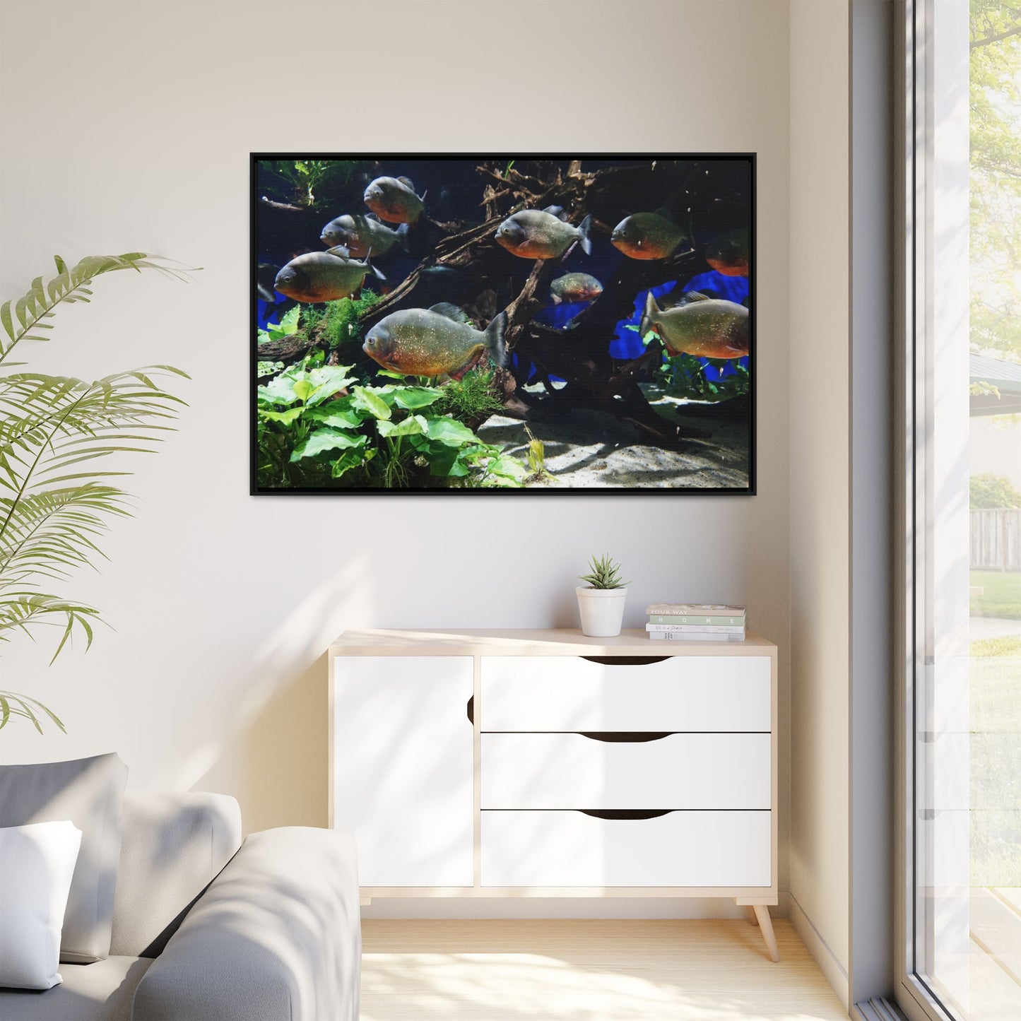 Fish Scene | Virtual Tank | Piranha River Scene