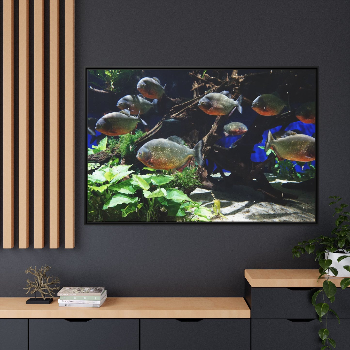 Fish Scene | Virtual Tank | Piranha River Scene