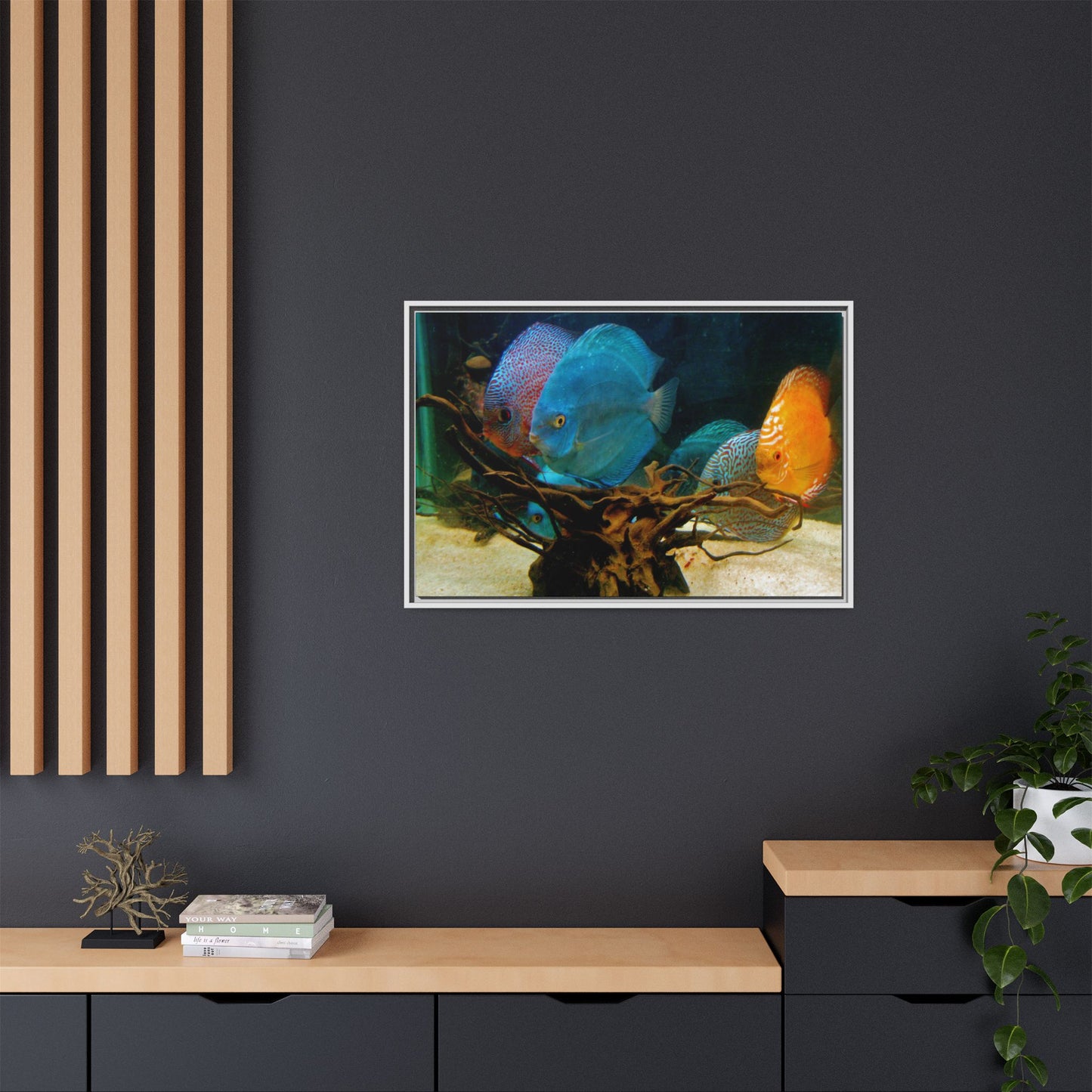 Fish Scene | Virtual Tank | Discus in your face