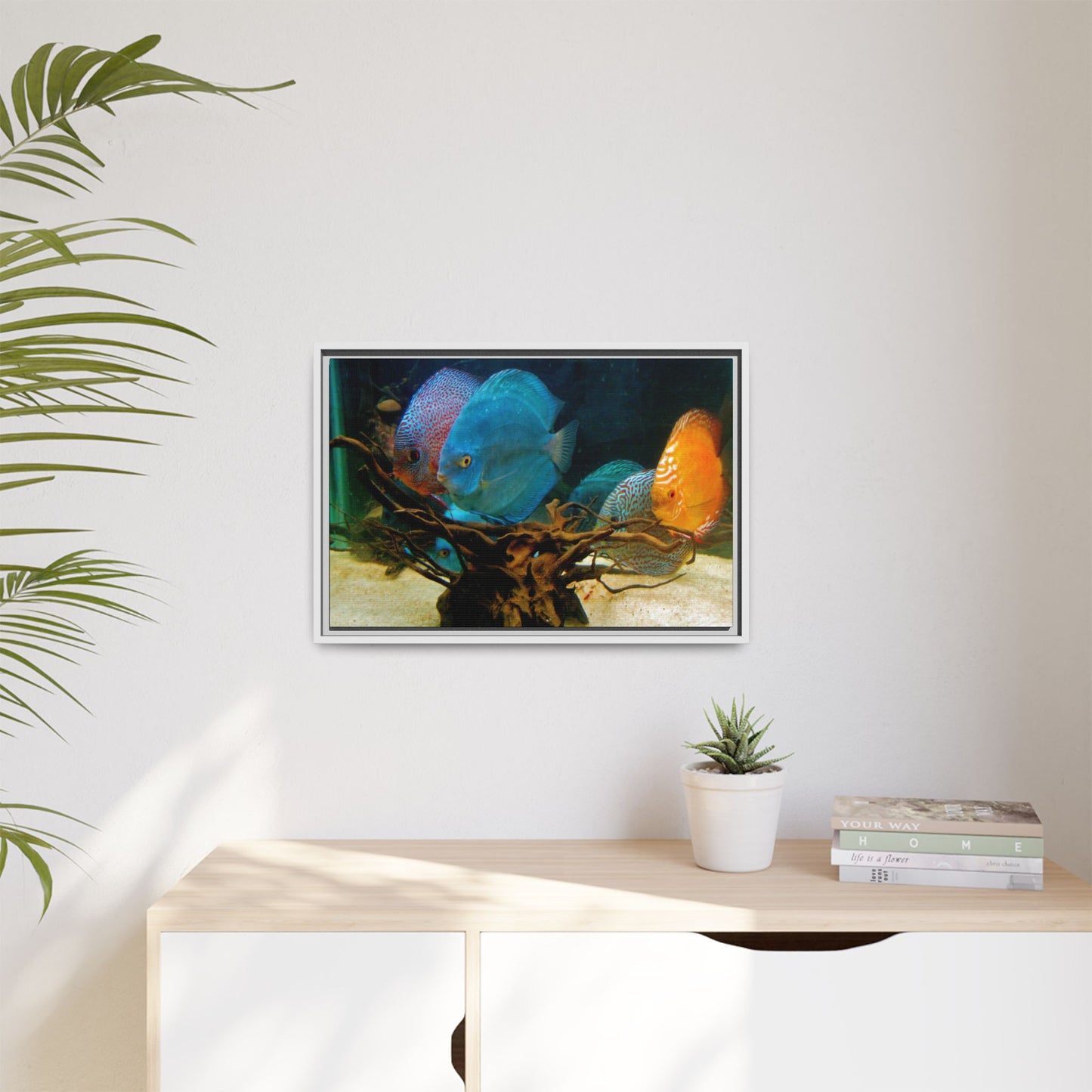 Fish Scene | Virtual Tank | Discus in your face