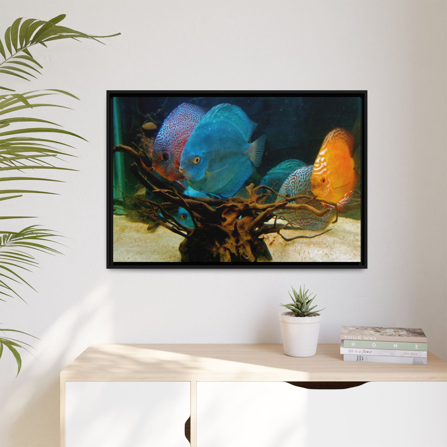 Fish Scene | Virtual Tank | Discus in your face