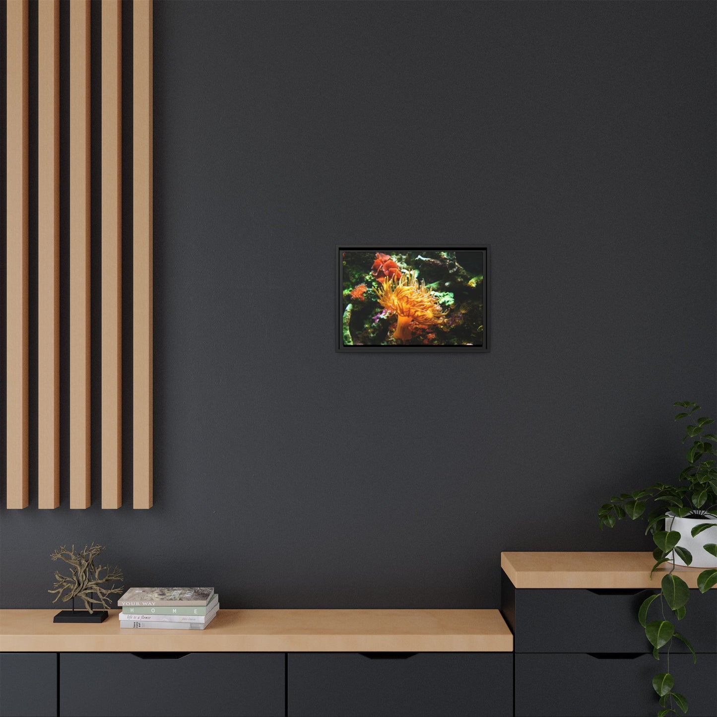 Fish Scene | Virtual Tank | Sun Anemone