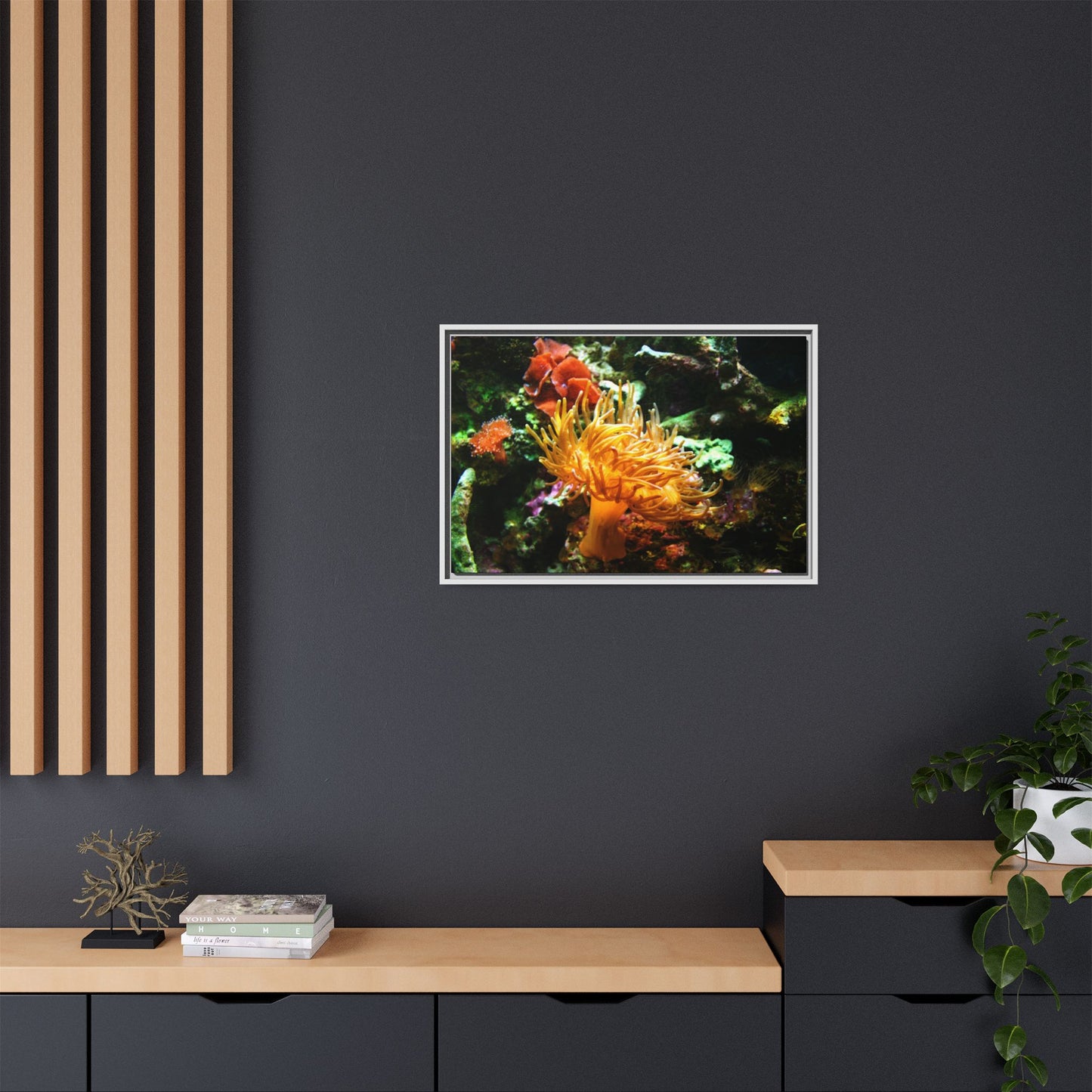 Fish Scene | Virtual Tank | Sun Anemone