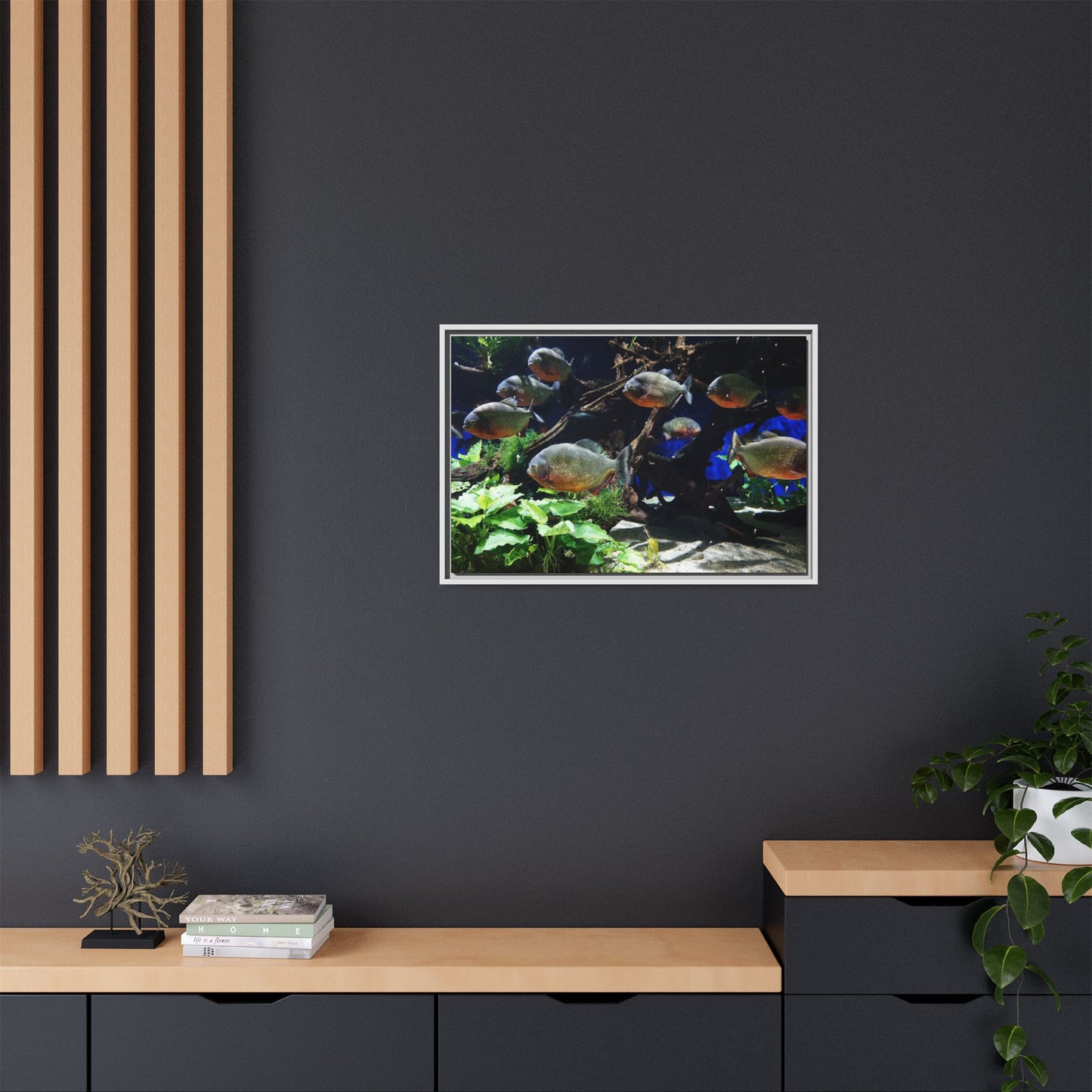 Fish Scene | Virtual Tank | Piranha River Scene