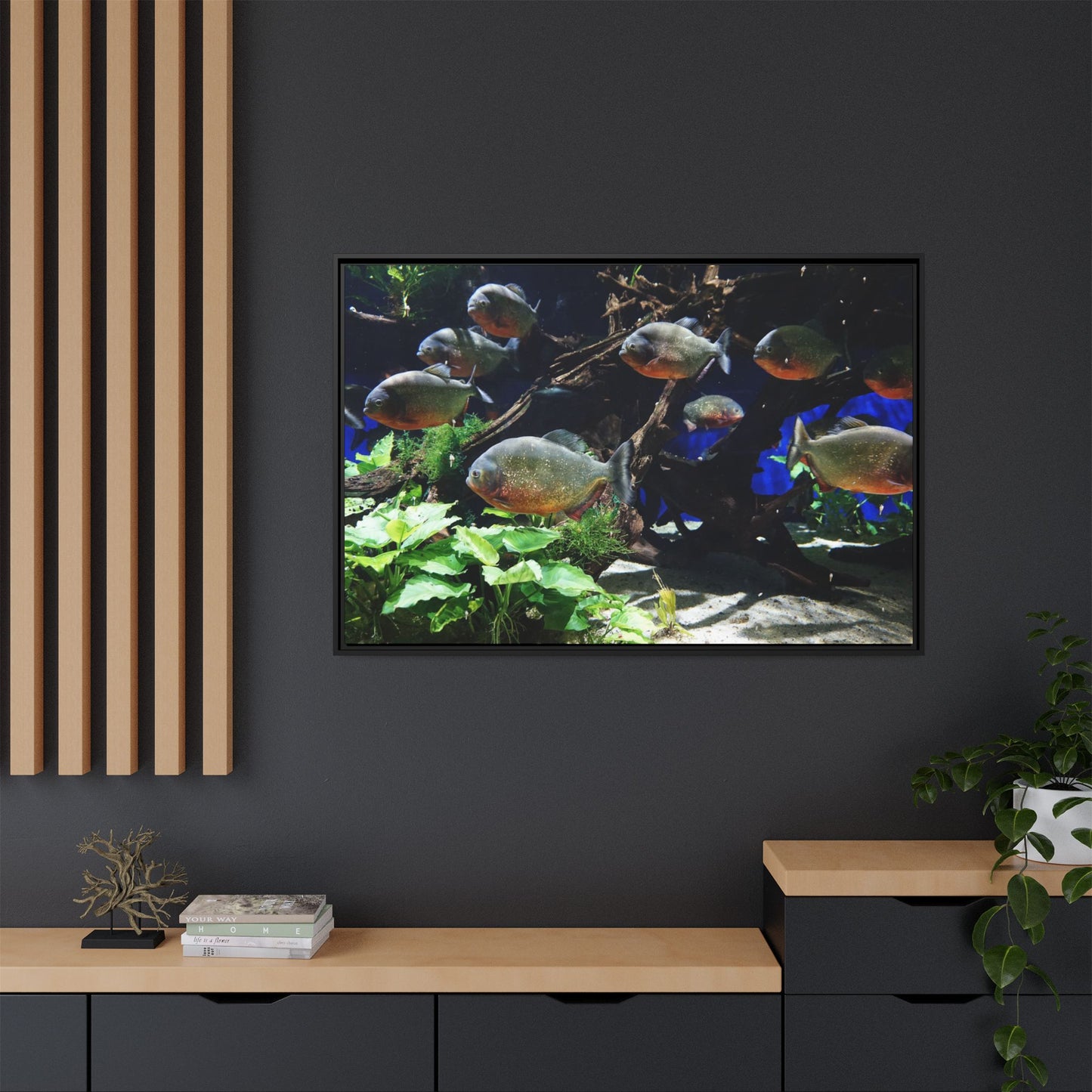 Fish Scene | Virtual Tank | Piranha River Scene