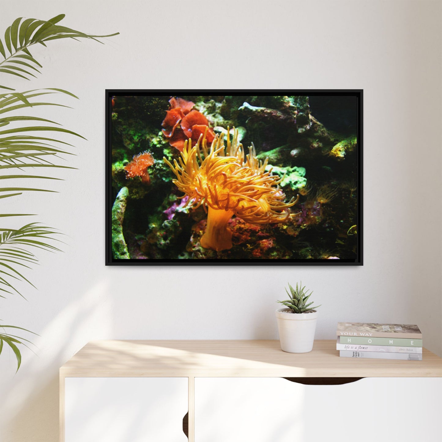 Fish Scene | Virtual Tank | Sun Anemone