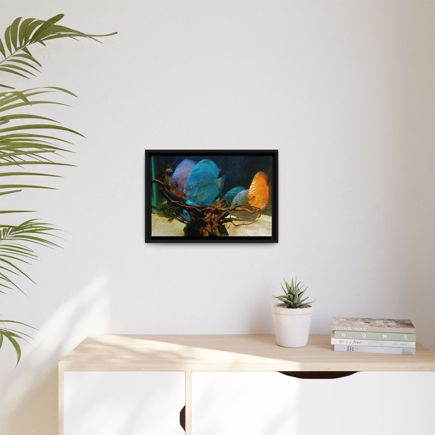 Fish Scene | Virtual Tank | Discus in your face