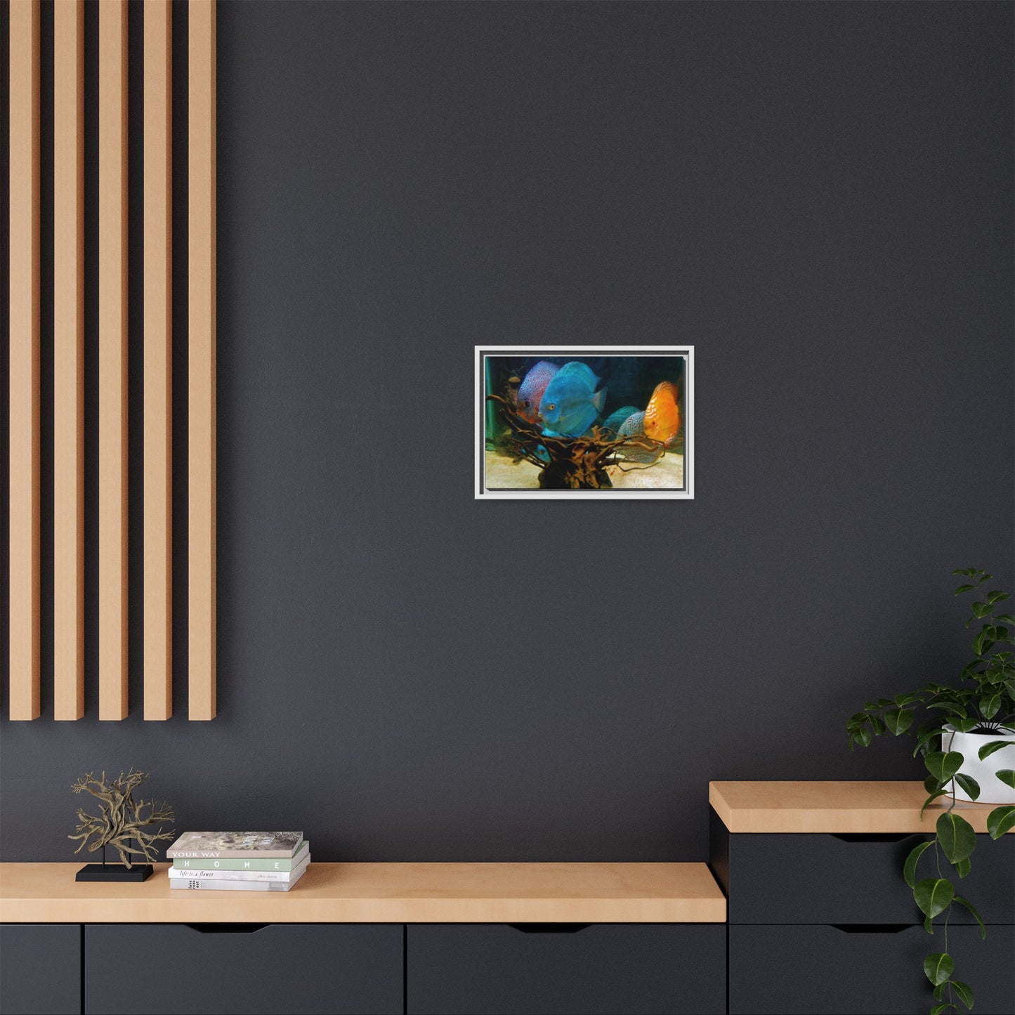 Fish Scene | Virtual Tank | Discus in your face