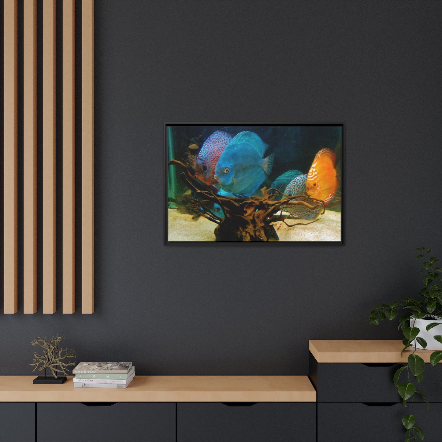 Fish Scene | Virtual Tank | Discus in your face