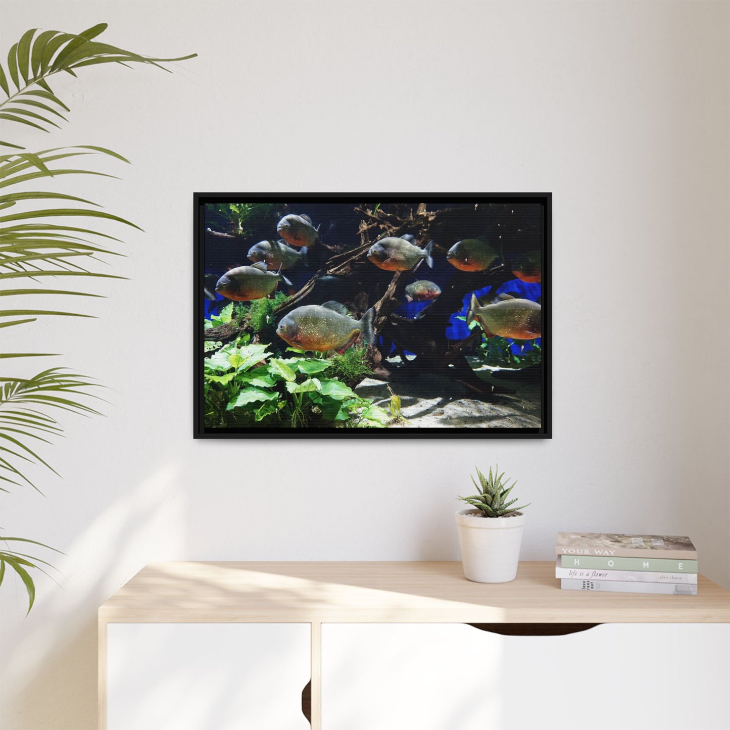 Fish Scene | Virtual Tank | Piranha River Scene