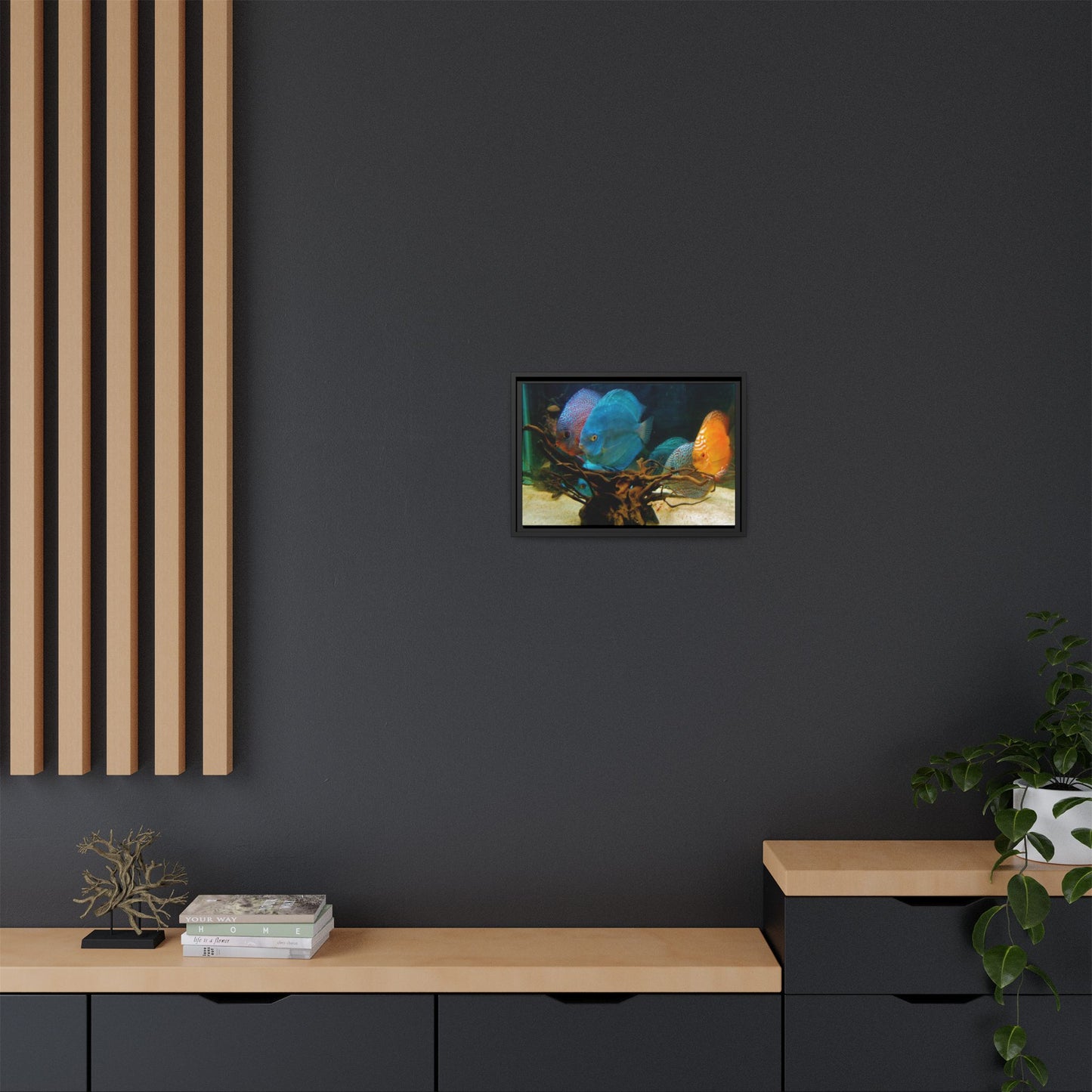 Fish Scene | Virtual Tank | Discus in your face