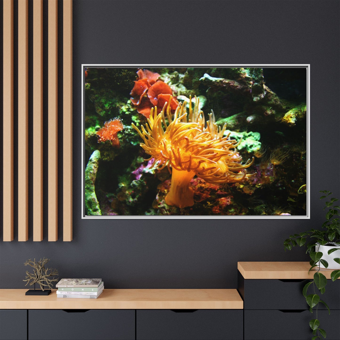 Fish Scene | Virtual Tank | Sun Anemone