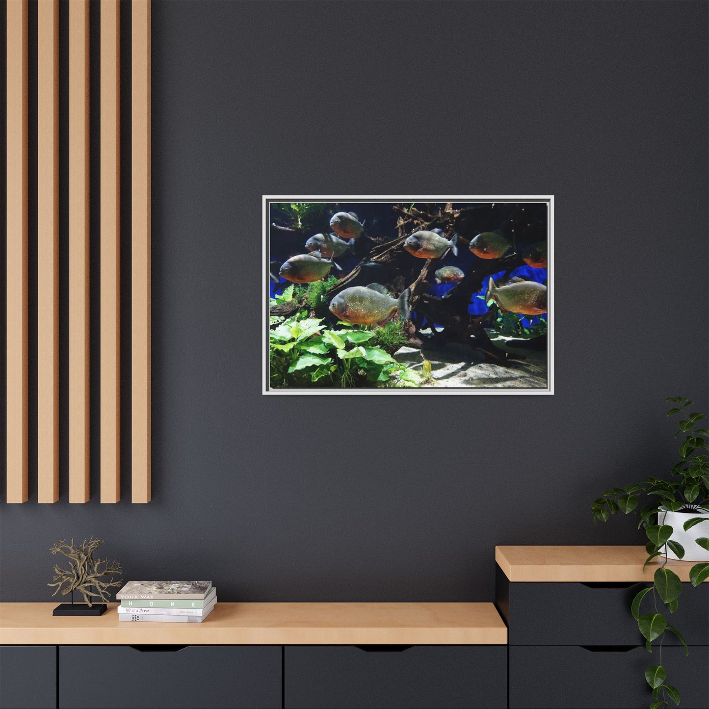 Fish Scene | Virtual Tank | Piranha River Scene