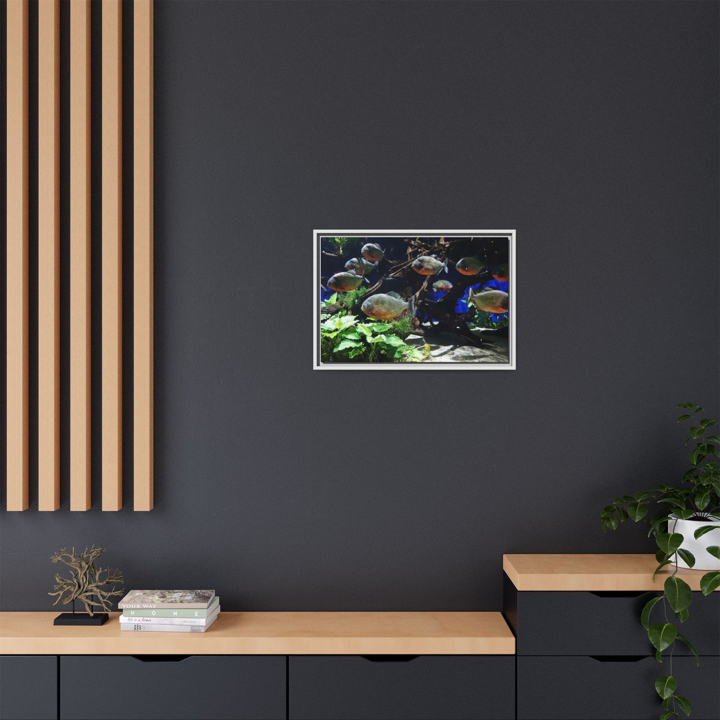 Fish Scene | Virtual Tank | Piranha River Scene