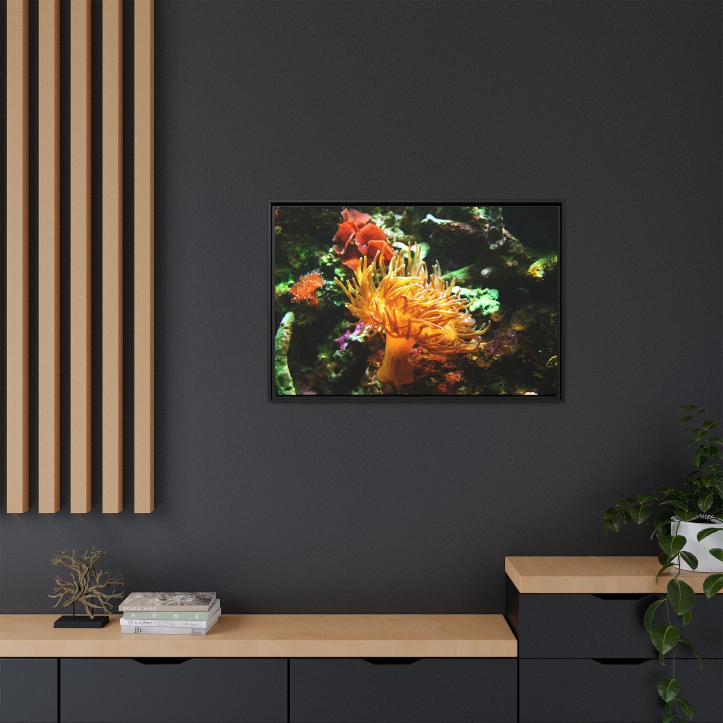 Fish Scene | Virtual Tank | Sun Anemone