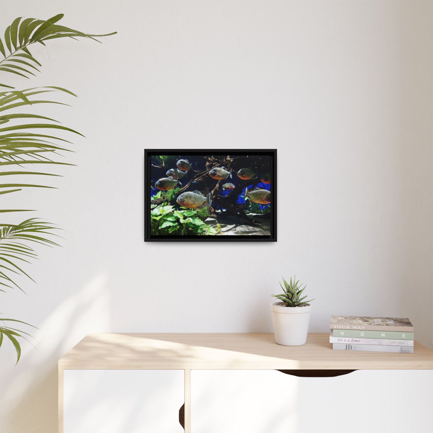 Fish Scene | Virtual Tank | Piranha River Scene