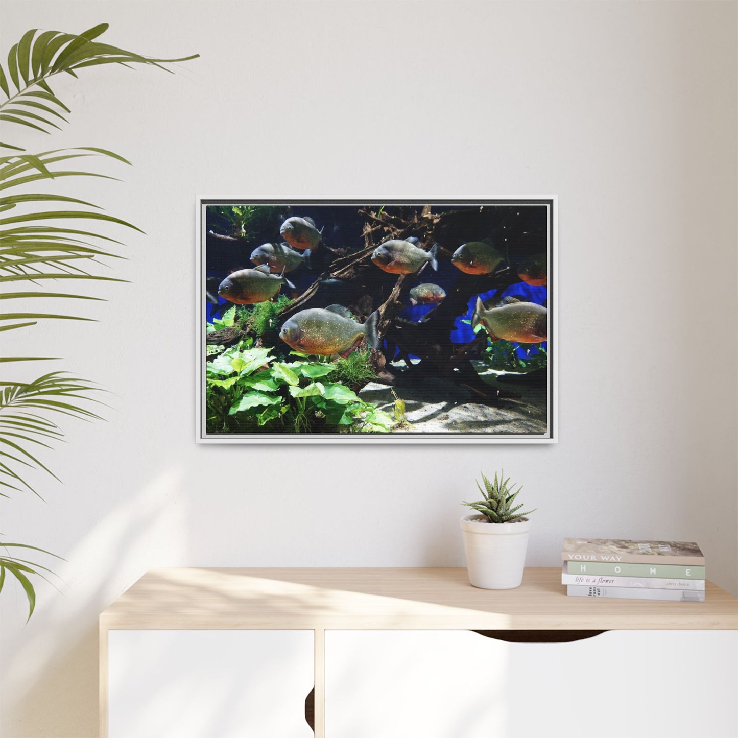 Fish Scene | Virtual Tank | Piranha River Scene