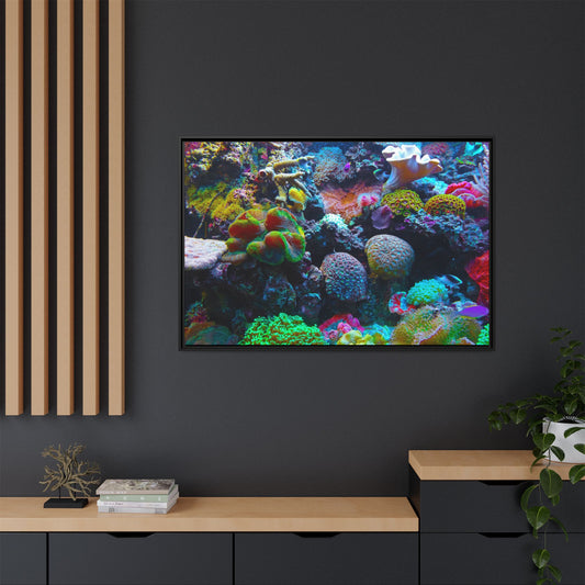 Fish Scene | Virtual Tank | Vibrant Coral Reef