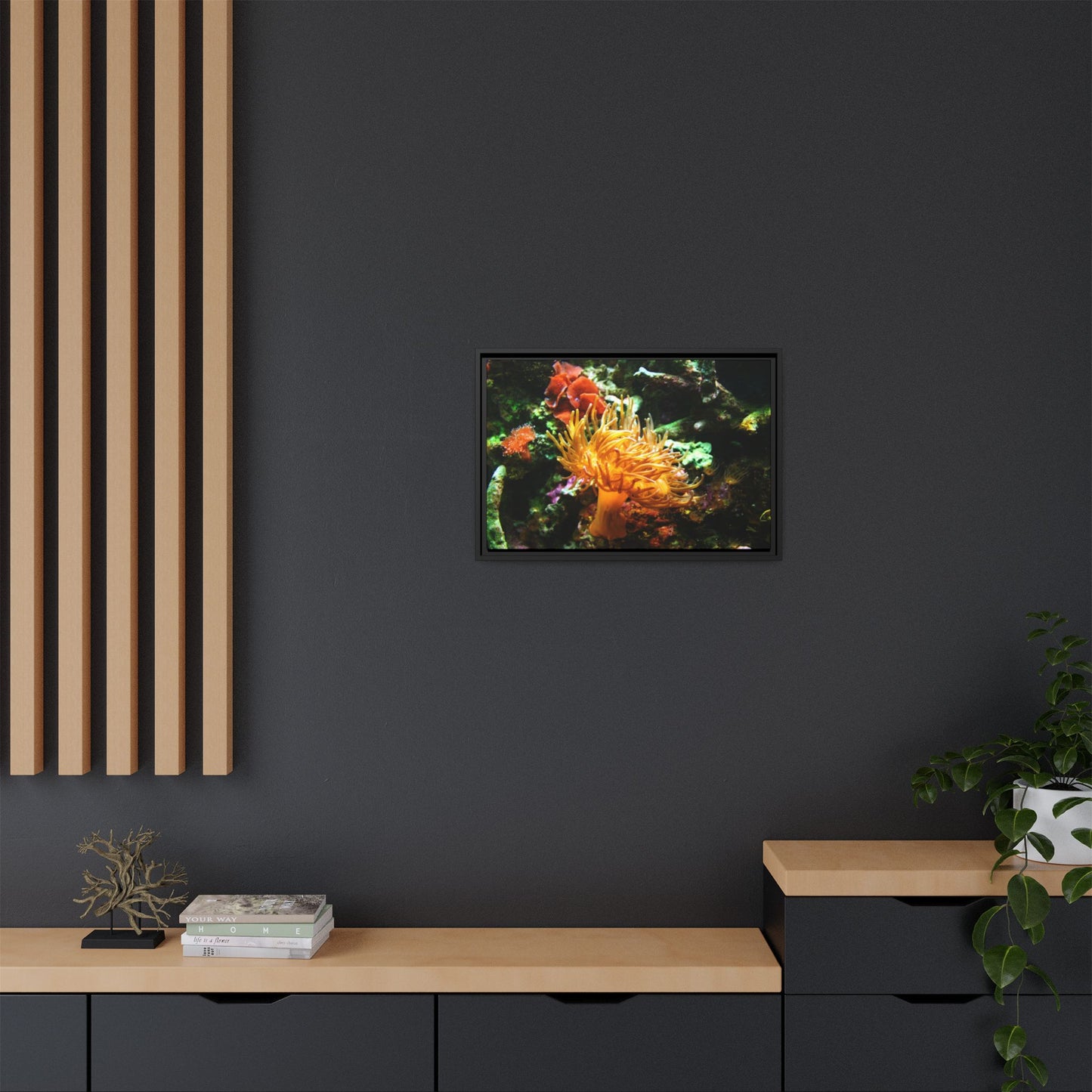 Fish Scene | Virtual Tank | Sun Anemone