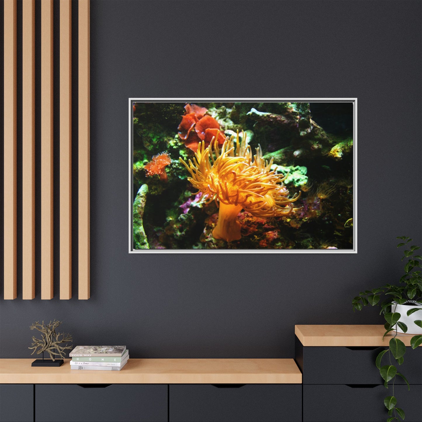 Fish Scene | Virtual Tank | Sun Anemone