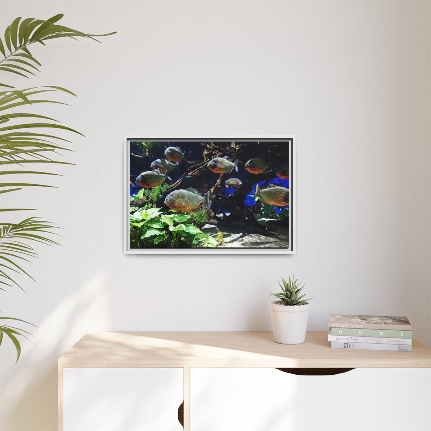 Fish Scene | Virtual Tank | Piranha River Scene