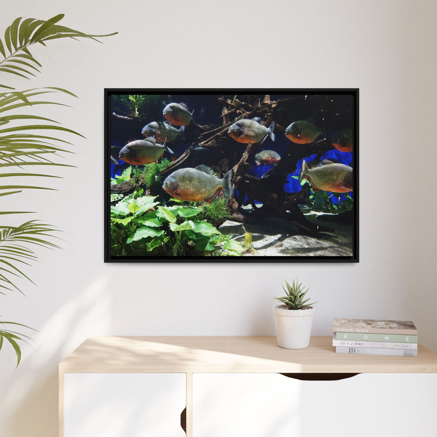 Fish Scene | Virtual Tank | Piranha River Scene