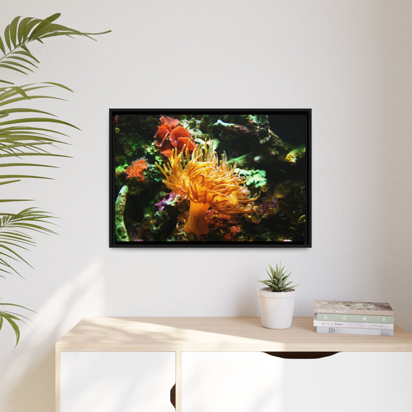 Fish Scene | Virtual Tank | Sun Anemone