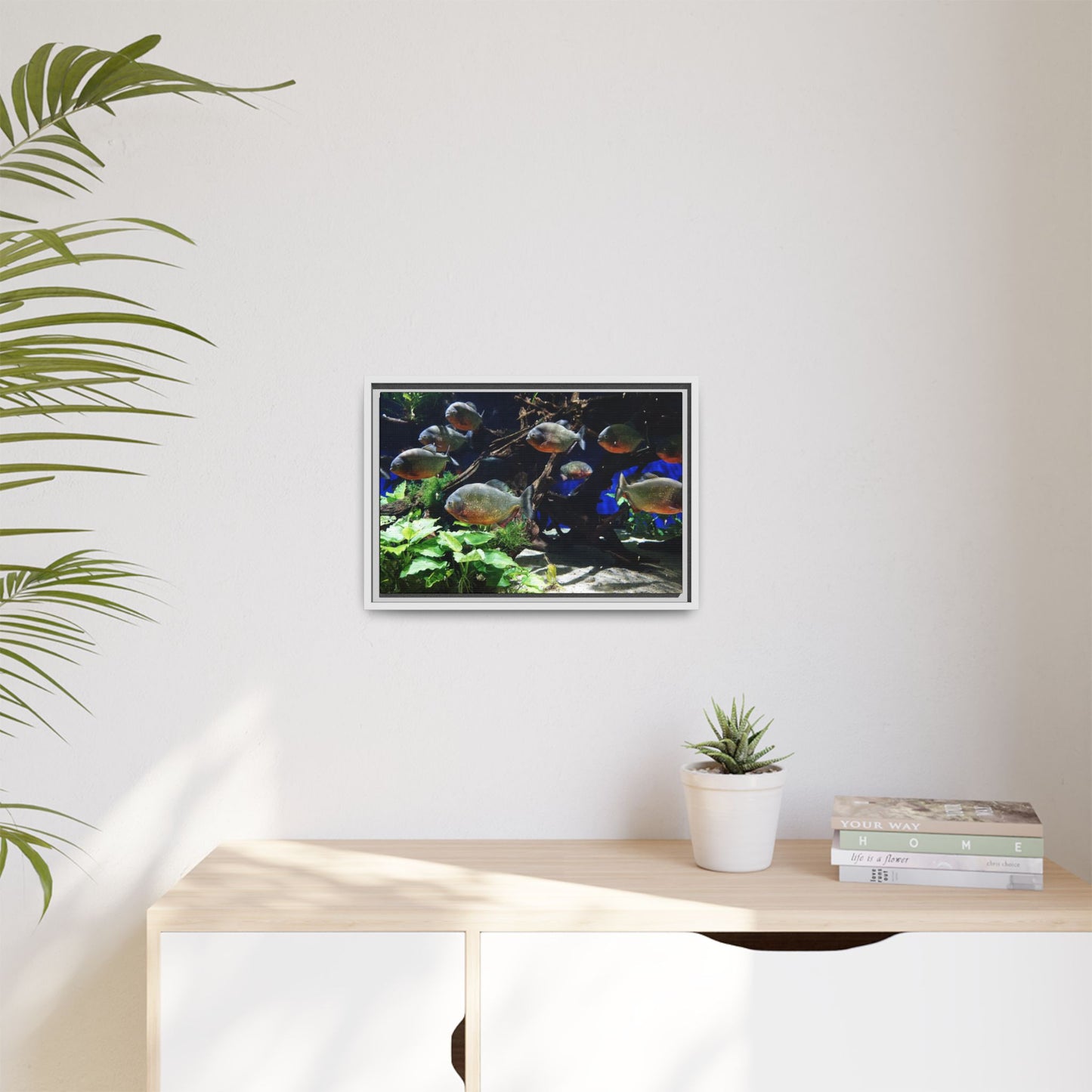 Fish Scene | Virtual Tank | Piranha River Scene