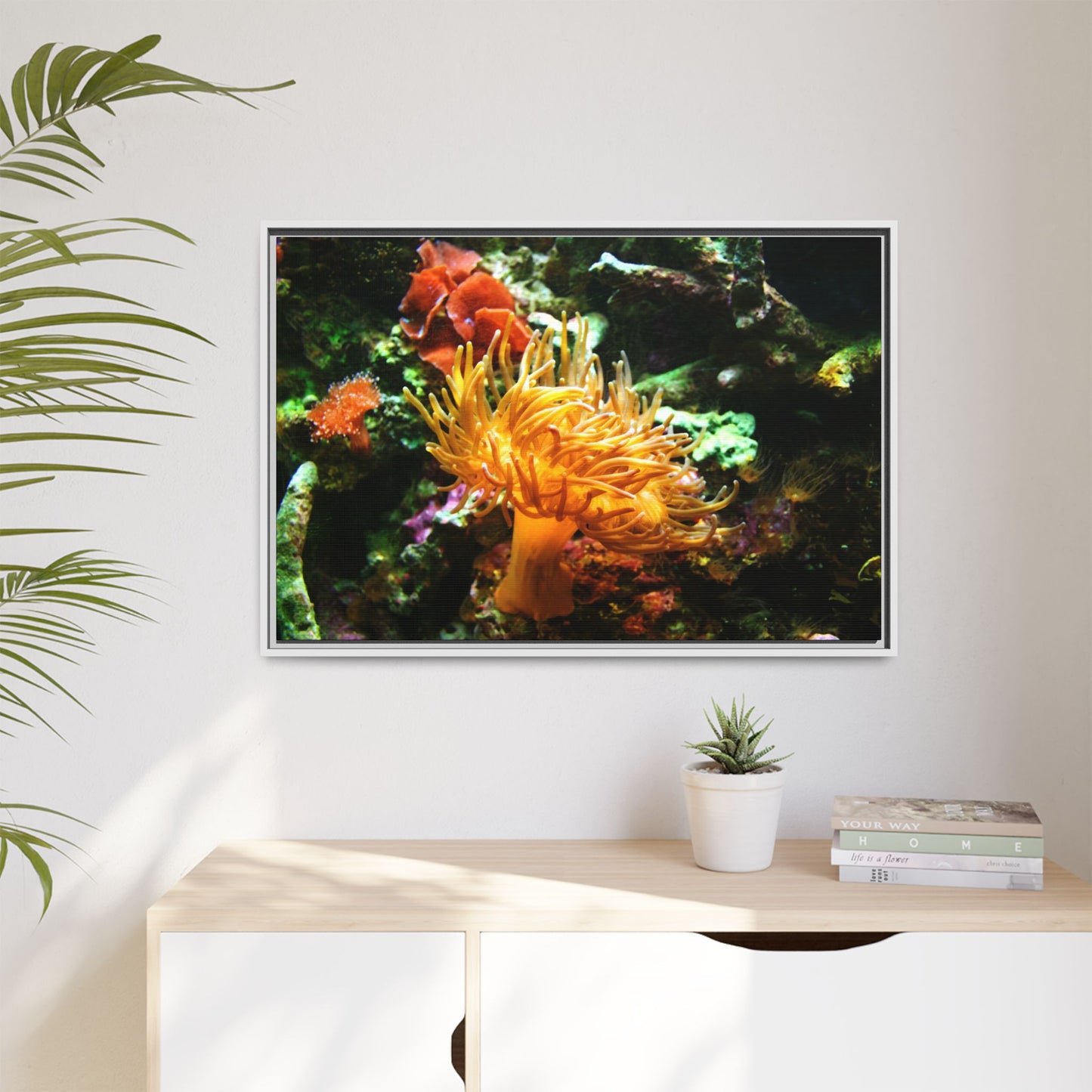 Fish Scene | Virtual Tank | Sun Anemone