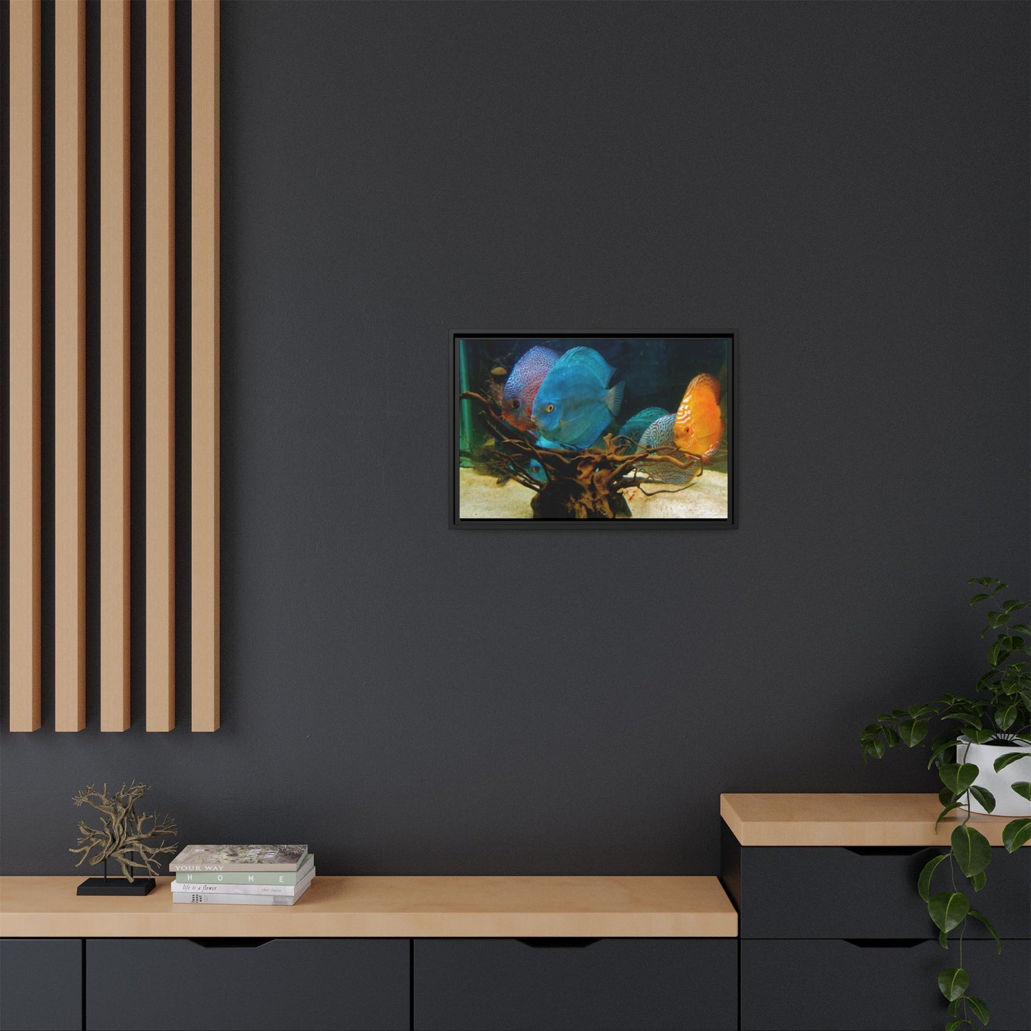 Fish Scene | Virtual Tank | Discus in your face