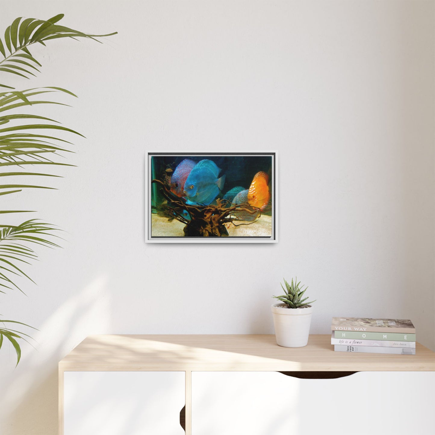 Fish Scene | Virtual Tank | Discus in your face