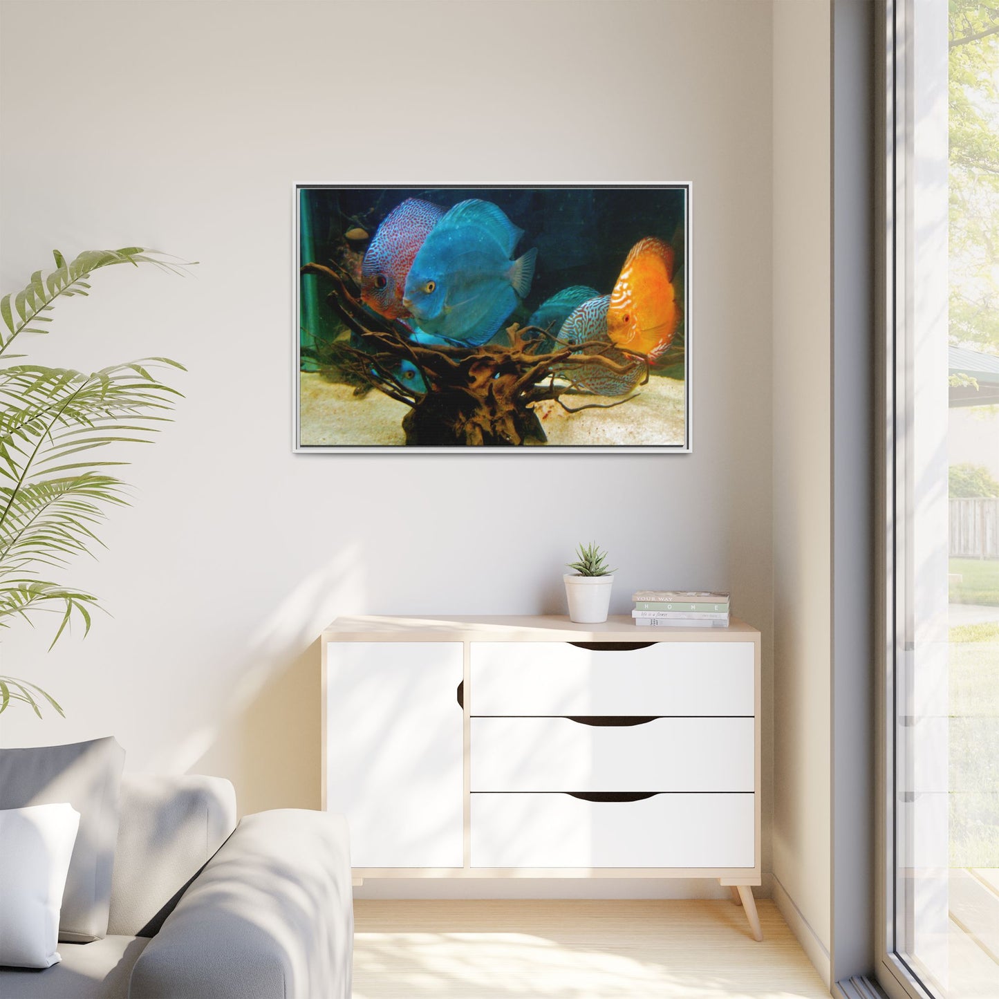 Fish Scene | Virtual Tank | Discus in your face