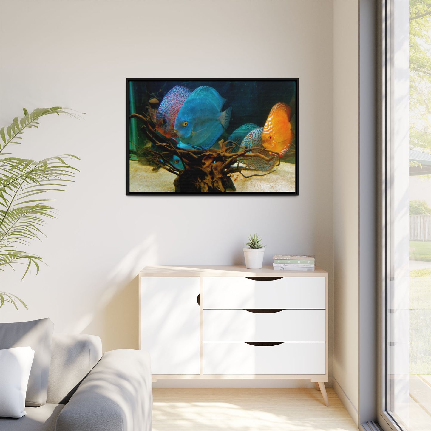 Fish Scene | Virtual Tank | Discus in your face