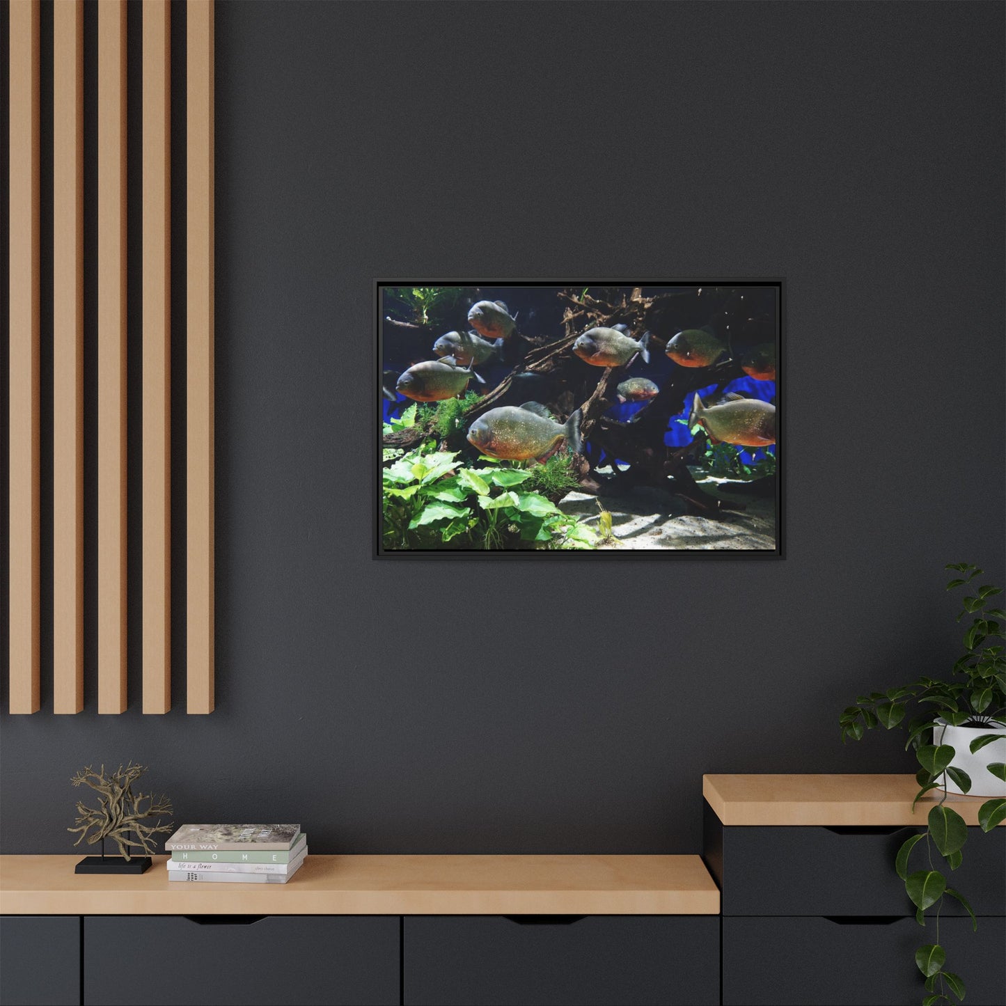 Fish Scene | Virtual Tank | Piranha River Scene