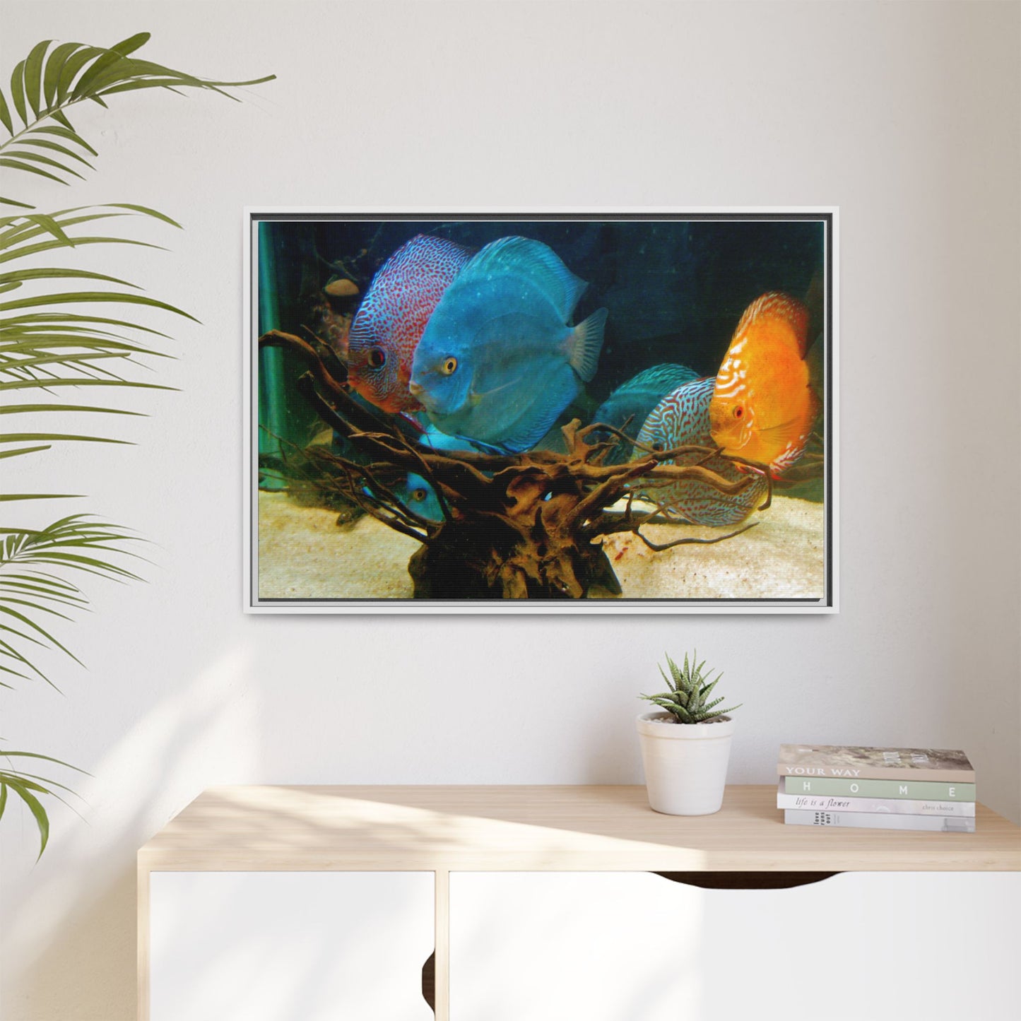 Fish Scene | Virtual Tank | Discus in your face