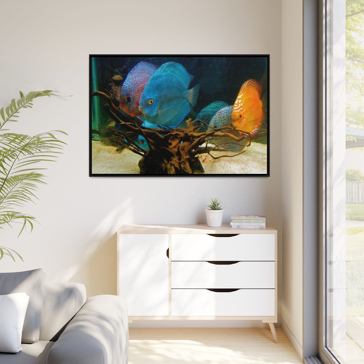 Fish Scene | Virtual Tank | Discus in your face