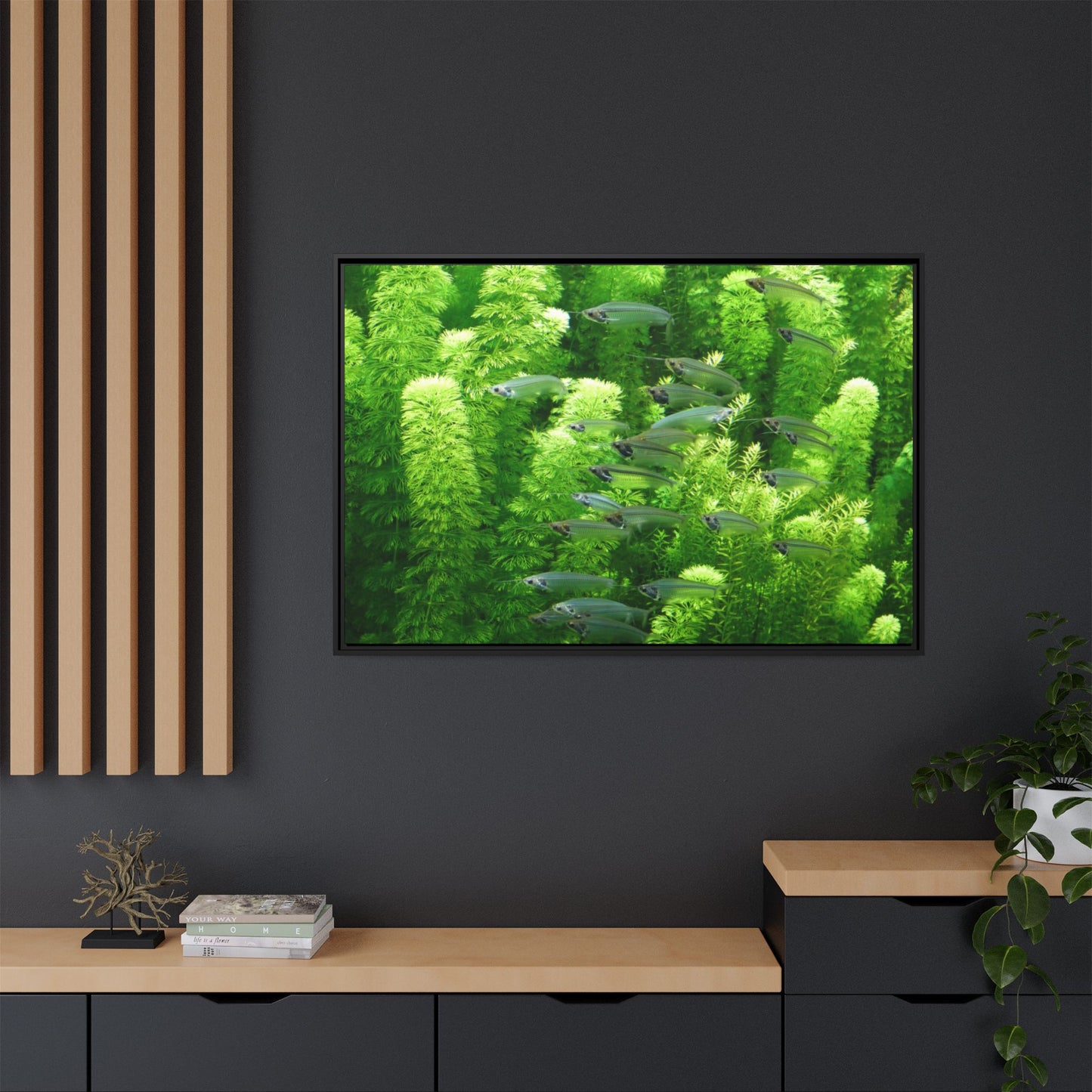 Fish Scene | Virtual Tank | Glass Cats in weed