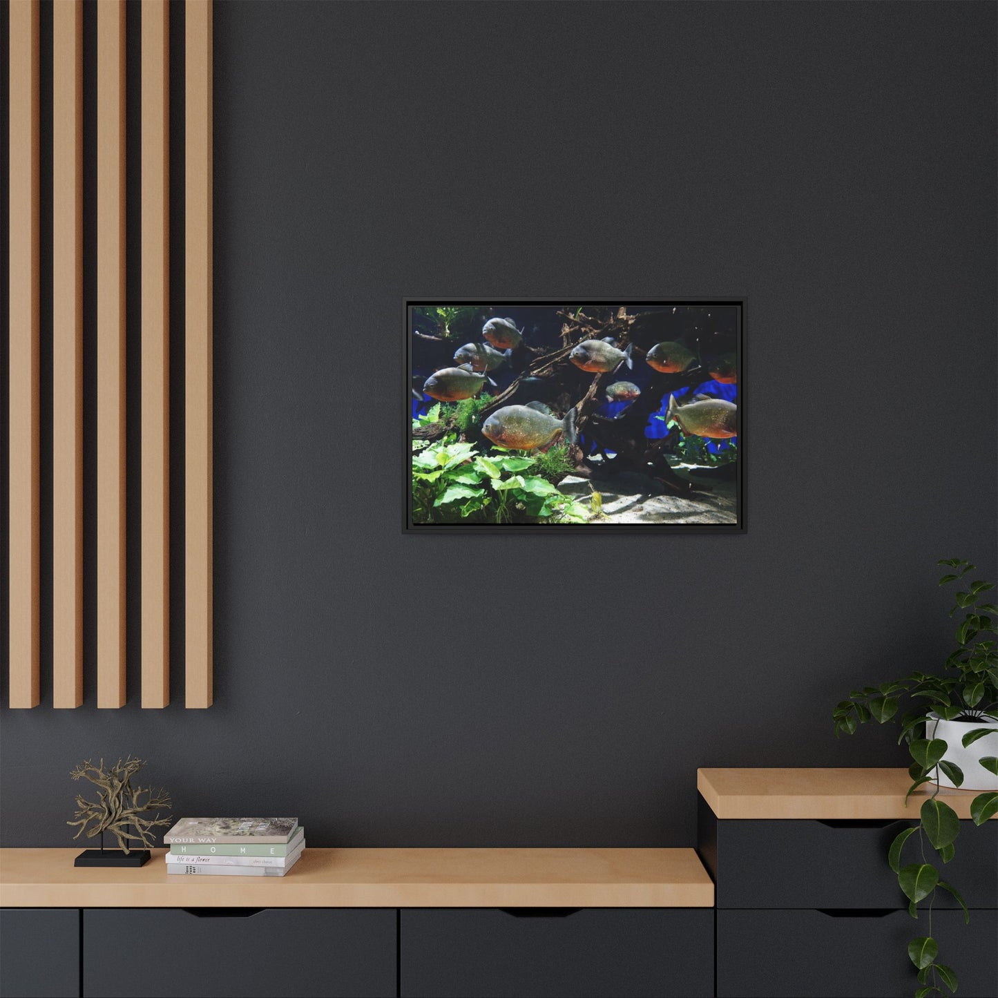 Fish Scene | Virtual Tank | Piranha River Scene