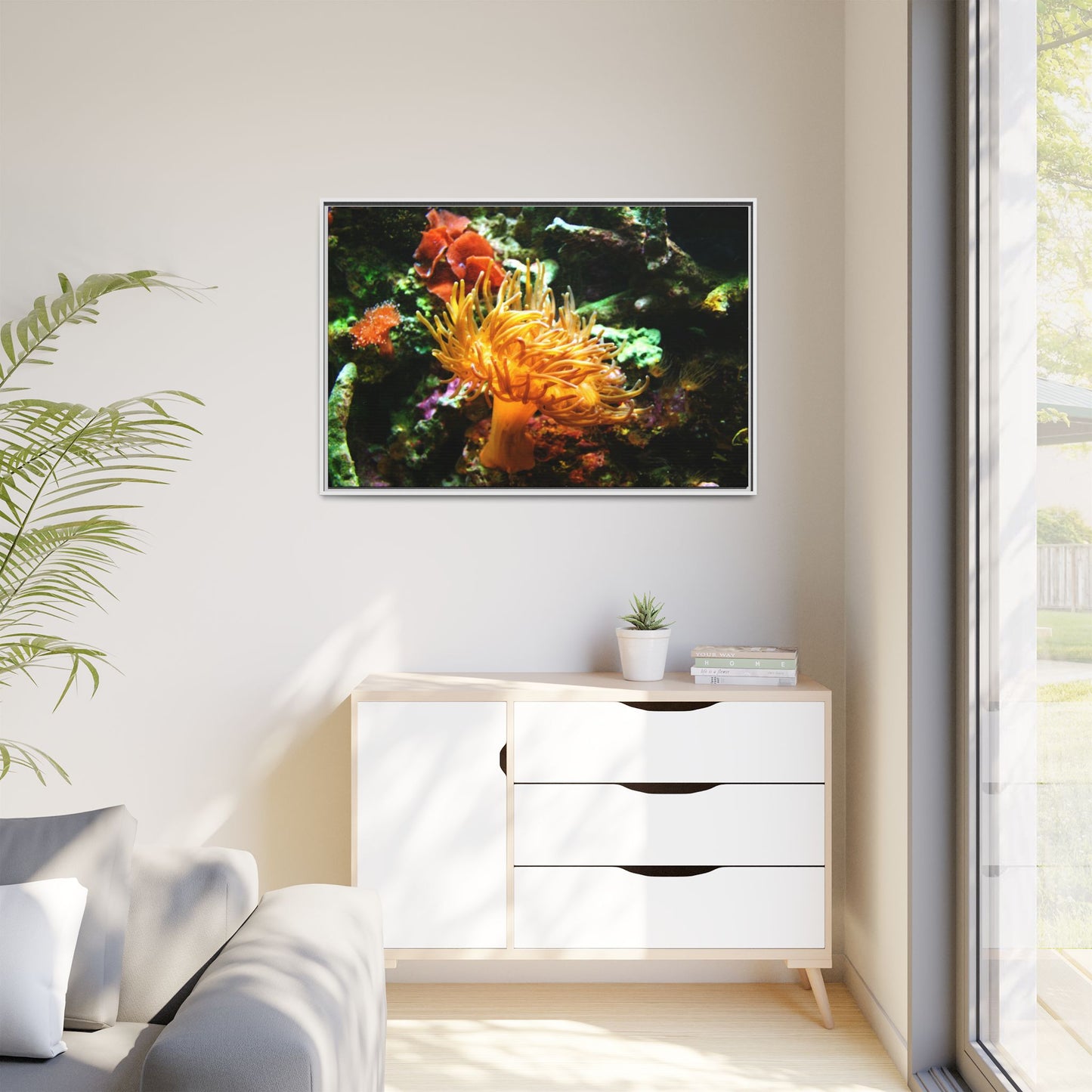 Fish Scene | Virtual Tank | Sun Anemone