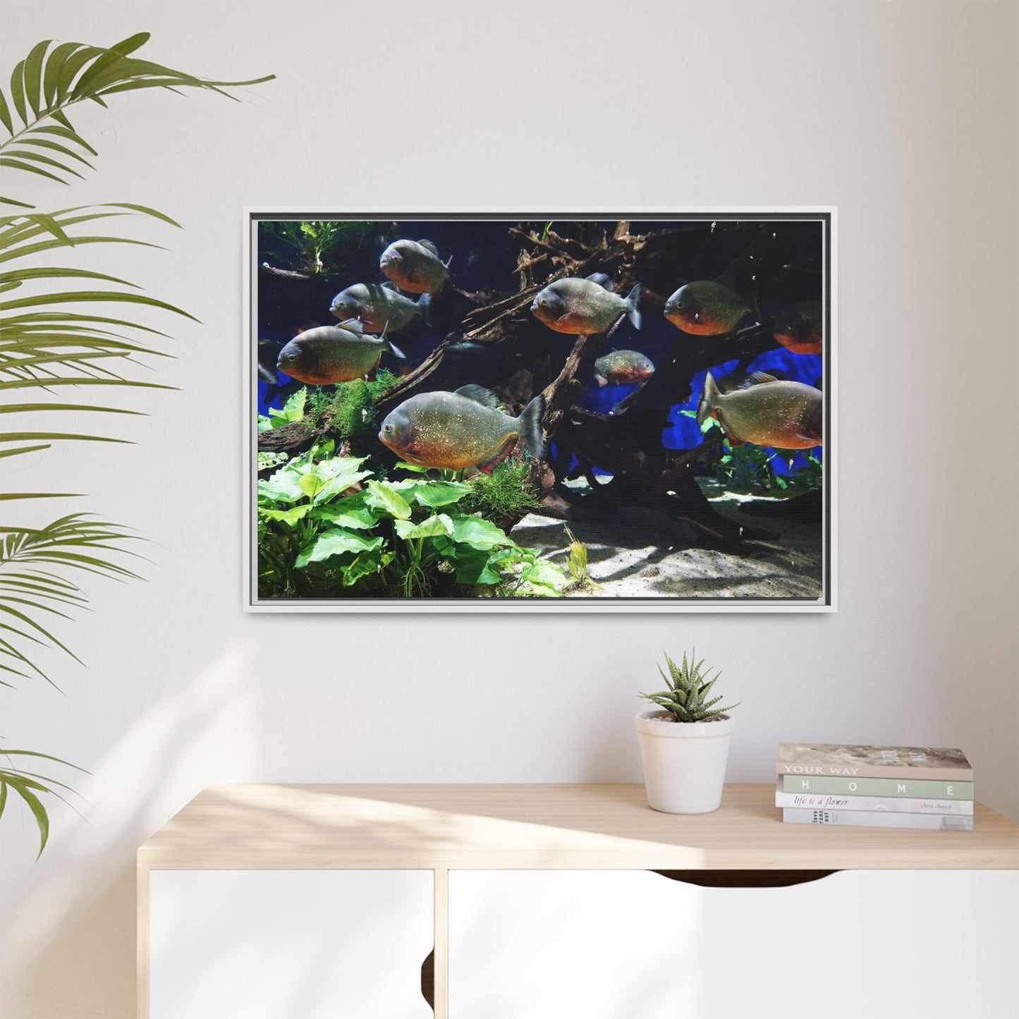 Fish Scene | Virtual Tank | Piranha River Scene