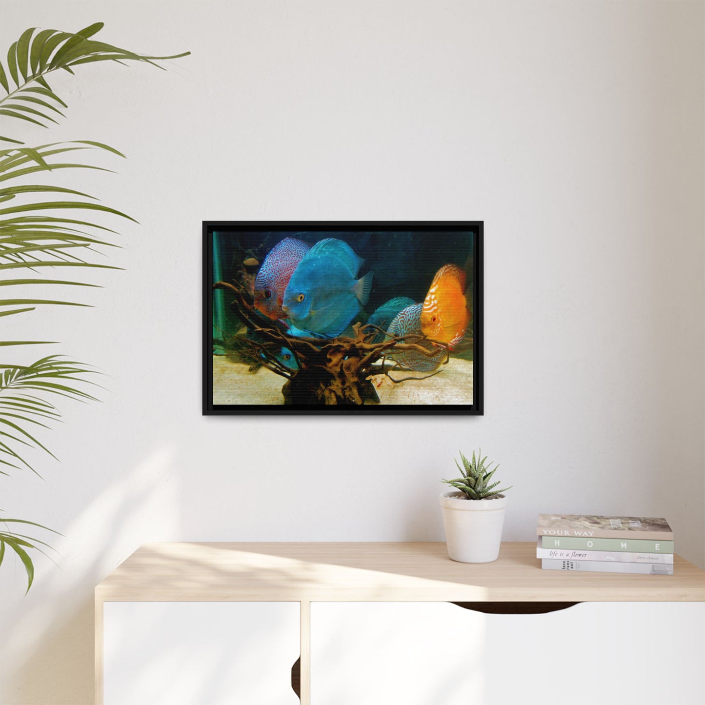 Fish Scene | Virtual Tank | Discus in your face