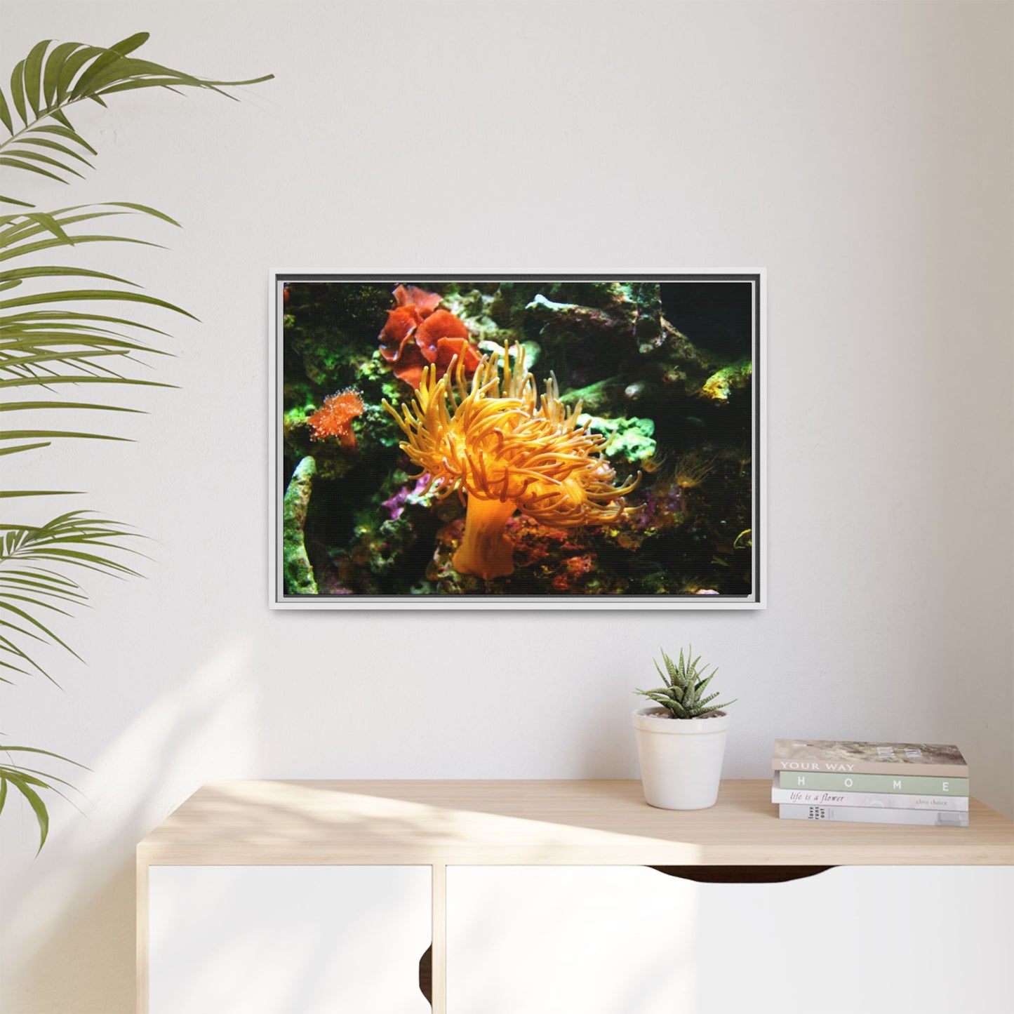 Fish Scene | Virtual Tank | Sun Anemone