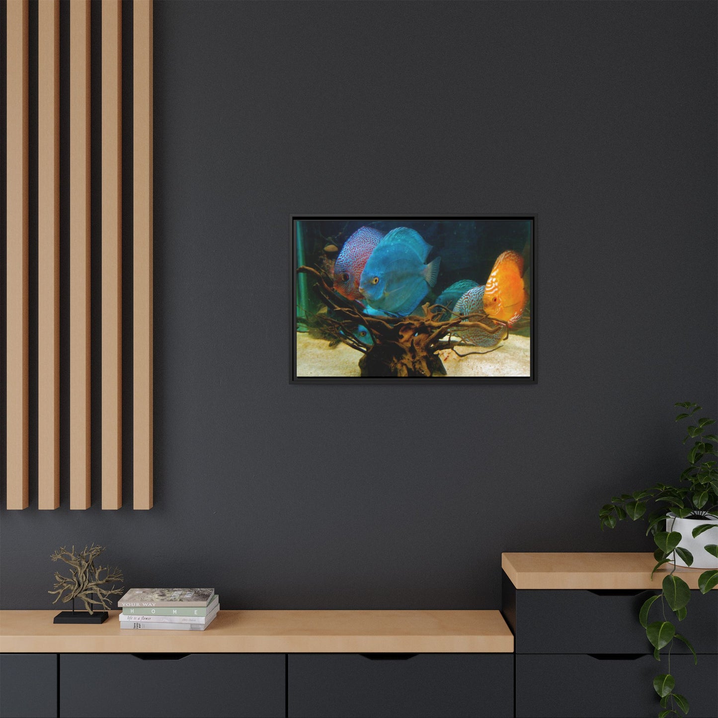 Fish Scene | Virtual Tank | Discus in your face