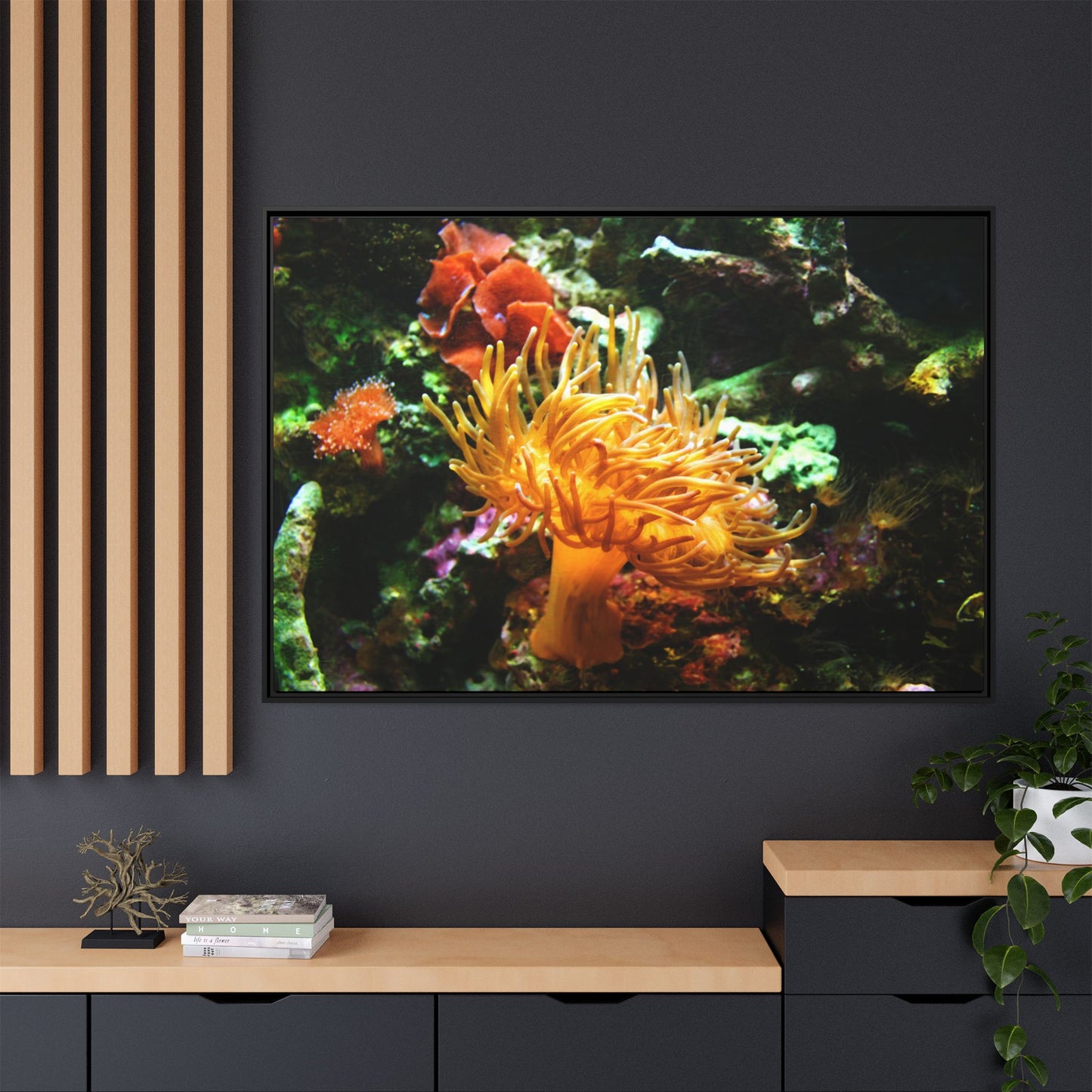 Fish Scene | Virtual Tank | Sun Anemone