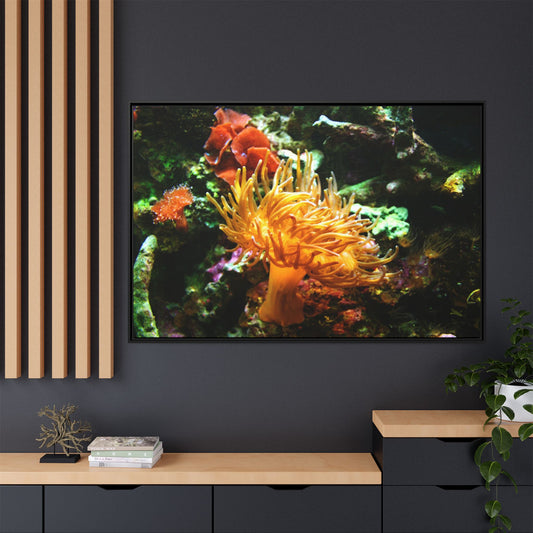 Fish Scene | Virtual Tank | Sun Anemone